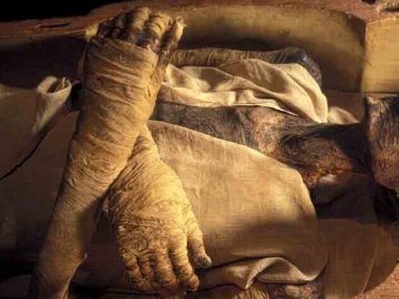 У Миколаївській області у полі знайшли мумію