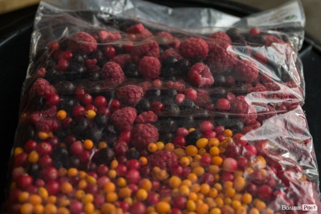 «Ліси Волині» – можливість їсти свіжі ягоди, гриби, овочі та фрукти цілий рік*