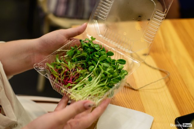 Лучанка створила вдома маленьку ферму і вирощує новомодний мікрогрін. ФОТО