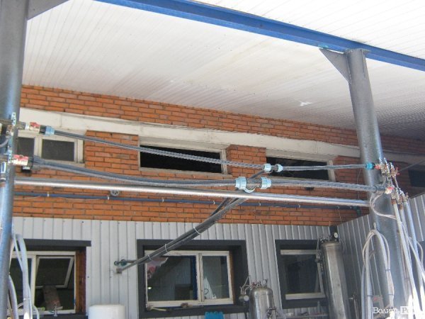 В гостях у квасу*