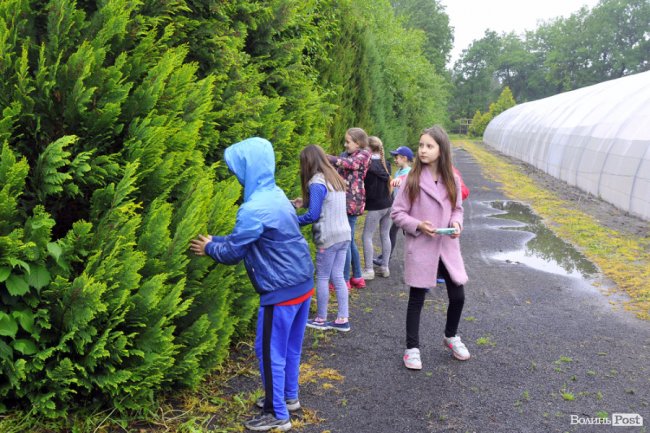 Екологічні стежки у волинському лісі – безліч відкриттів не лише для дітей