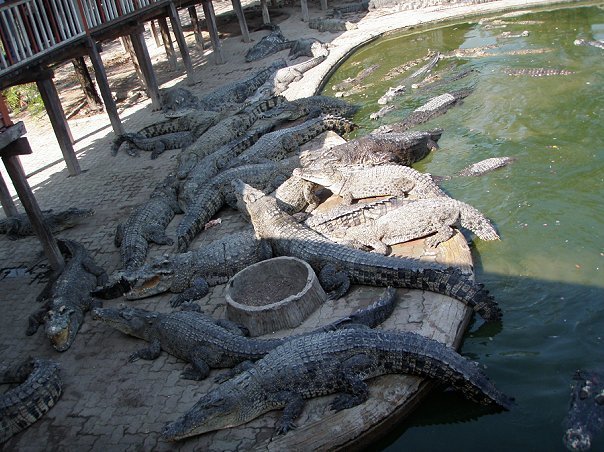 «Нотатки мандрівниці» Анни Басманової-Тріль: Я сумую за ресторанами на 63-му поверсі, де місто - на долоні