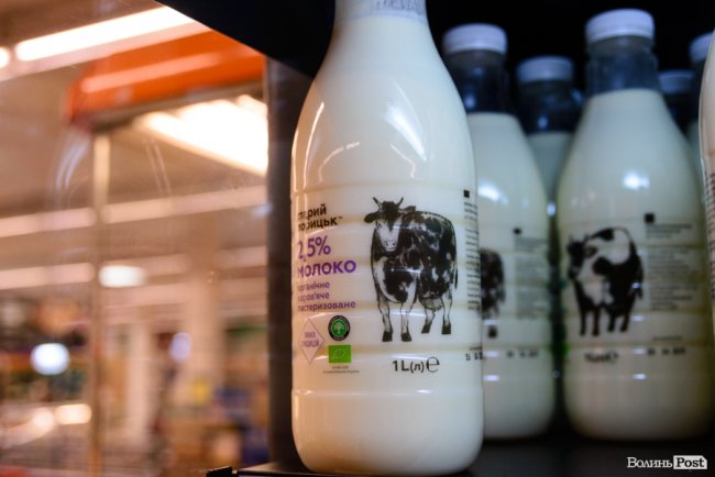  З сімейної ферми – до столу: де і чому варто купувати органічну «молочку» зі Старого Порицька. ФОТО