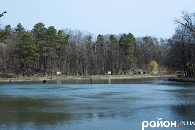 «Історії довкола лісу» і секрети бджолярства від волинського пасічника