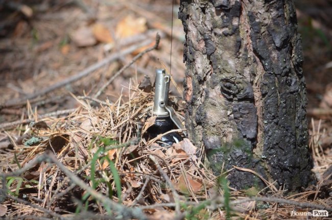 Патріоти краю і країни: як у лісах Волині тренуються загони тероборони