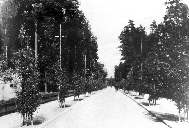 Знамените Базальтове 100 років тому: раритетні фото