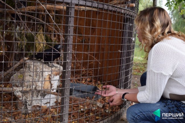 Домашній, затишний куточок: як живеться луцькому зоопарку