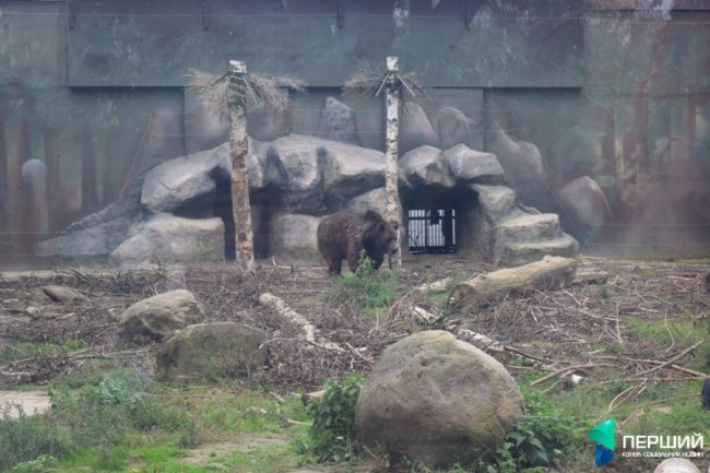 Домашній, затишний куточок: як живеться луцькому зоопарку