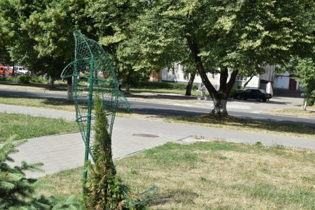 Чому на Волині не прижилися живі топіари