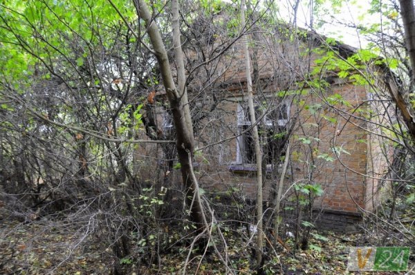 На руїнах слави