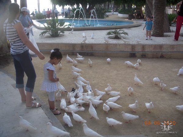 «Нотатки мандрівника» Андрія Костенка: добрі поліцейські, каталонці та siesta