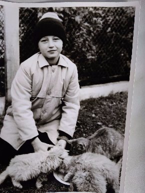 Тарас Божидарник