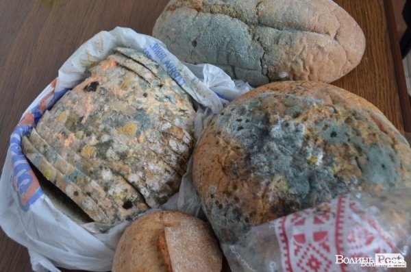 «Цілком таємно». Що можна знайти у волинському хлібі і як перевірити його якість