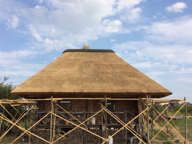 Стильно, екологічно, раціонально: дах з очерету – вибір людей 21-го століття* 