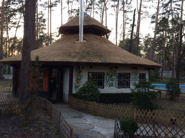 Стильно, екологічно, раціонально: дах з очерету – вибір людей 21-го століття* 