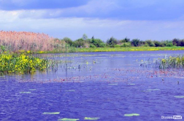Куди поїхати: туристичні маршрути Волині
