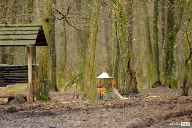 Лісівники показали, як розвивають мисливське господарство на Волині