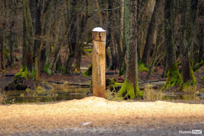 Лісівники показали, як розвивають мисливське господарство на Волині