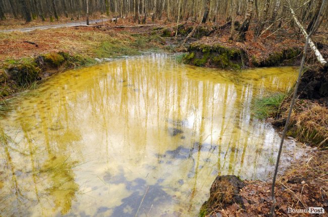Лісівники показали, як розвивають мисливське господарство на Волині