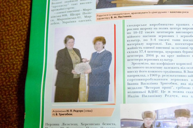 «Люблю кожен колосок»: розмова про 51 рік роботи серед пшеничного різноманіття. ФОТО