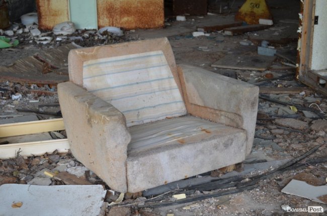 Життя на місці смерті: як зону відчуження «захоплює» ліс