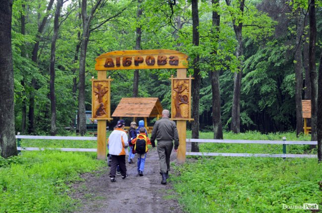 Екологічні стежки у волинському лісі – безліч відкриттів не лише для дітей