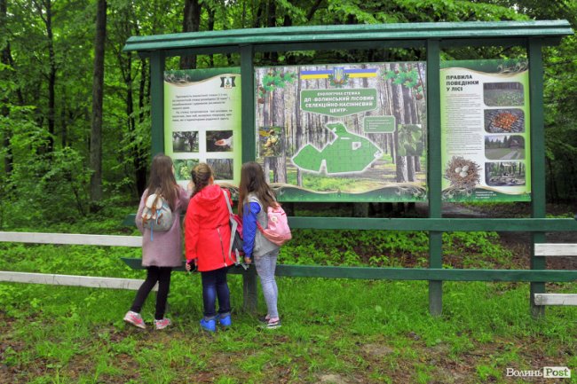 Екологічні стежки у волинському лісі – безліч відкриттів не лише для дітей