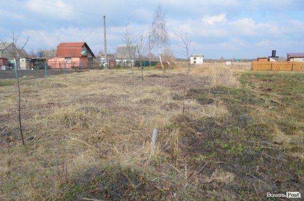 На Волині у чоловіка хитрістю відібрали дачу