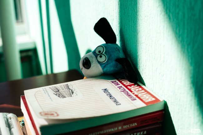 Математика – це просто: лучанка руйнує стереотипи і вчить легко досягати успіхів в складній науці. ІНТЕРВ’Ю