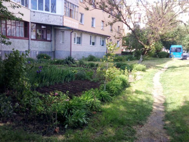 Як ОСББ у Луцьку можуть попередити виникнення сезонної алергії в мешканців багатоповерхівок*