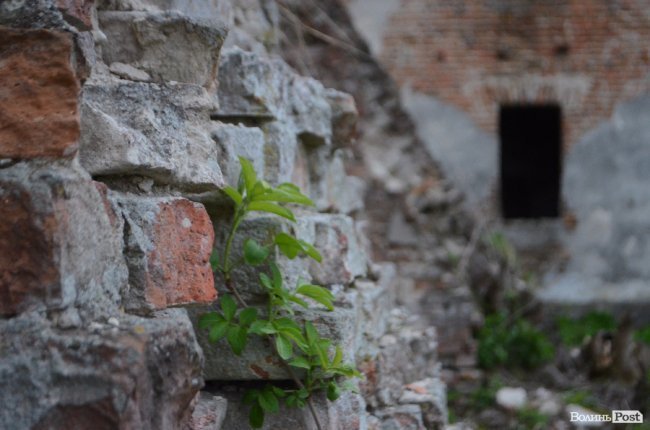 Мандрівка волинськими храмами: там, де пропагували ідеї Реформації