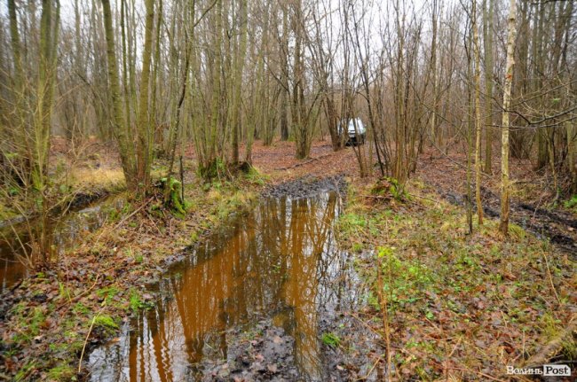 Нічні погоні та браконьєри: як працює лісова рейдова група. ФОТО