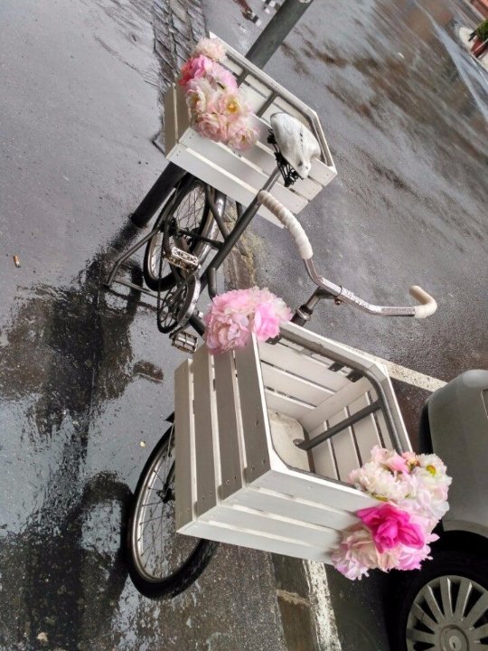 «Нотатки мандрівника» Віктора Павлюка: 9 країн за 100 доларів