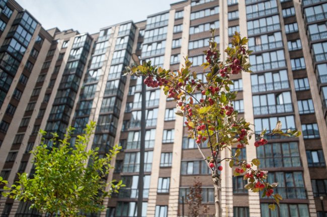 Відчуй себе як вдома: «Атлант» втілив перший унікальний проєкт ландшафтного дизайну* 