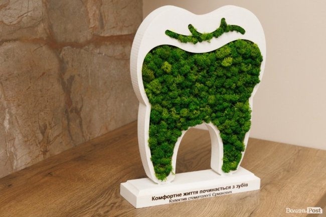 Рівняємо зуби: де у Луцьку поставити брекети чи елайнери