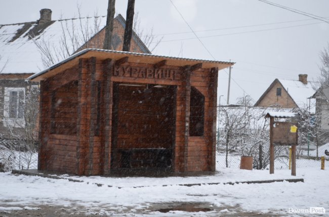 На сторожі лісу та добробуту людей: за що громадяни вдячні лісівникам Ківерцівщини
