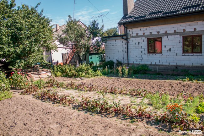 Чисте повітря та сільська тиша: за що лучани люблять Кічкарівку. ФОТО