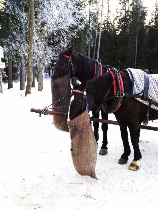 «Нотатки мандрівника» Віктора Павлюка: 9 країн за 100 доларів