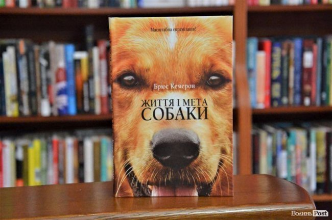 ТОП-5 книг: що лучани читали в березні 