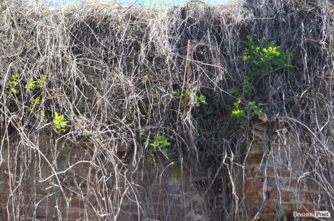 Мандрівка волинськими храмами: там, де пропагували ідеї Реформації