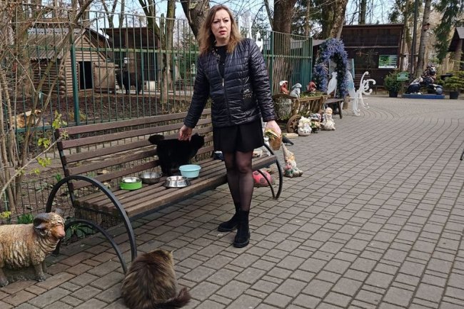 Історії котів із Луцького зоопарку