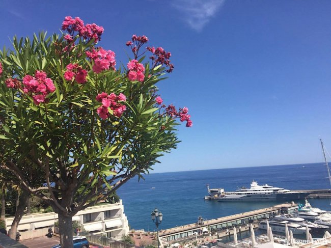 Нотатки мандрівника. Монако: сонце і пафос Монте-Карло