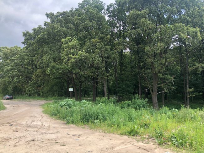 Вчені встановили три головнi умови щасливого життя* 