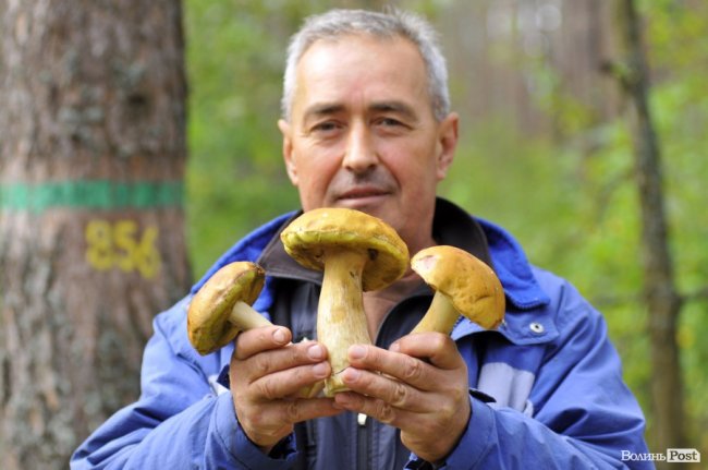 Маневицькими грибами смакуватиме Європа