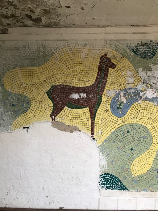 Адвокат з Луцька подорожує на велосипеді у пошуках унікальних автобусних зупинок. ФОТО