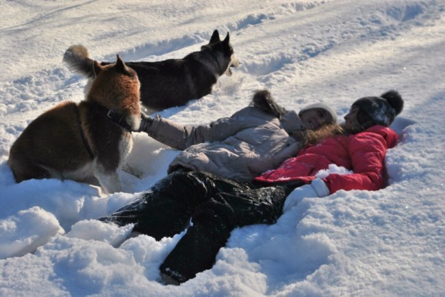 Нотатки мандрівника Віктора Воробчука: 3 роки автостопом