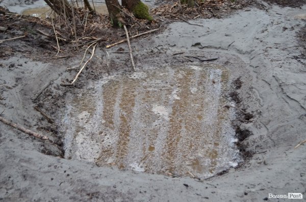 «Бурштинова мафія» на Волині: «криша», долари і селяни