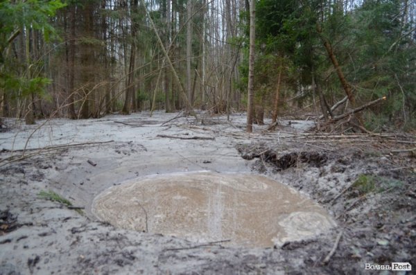 «Бурштинова мафія» на Волині: «криша», долари і селяни