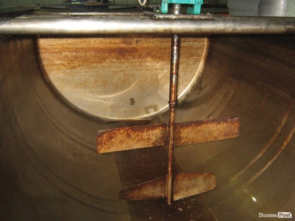 В гостях у квасу*