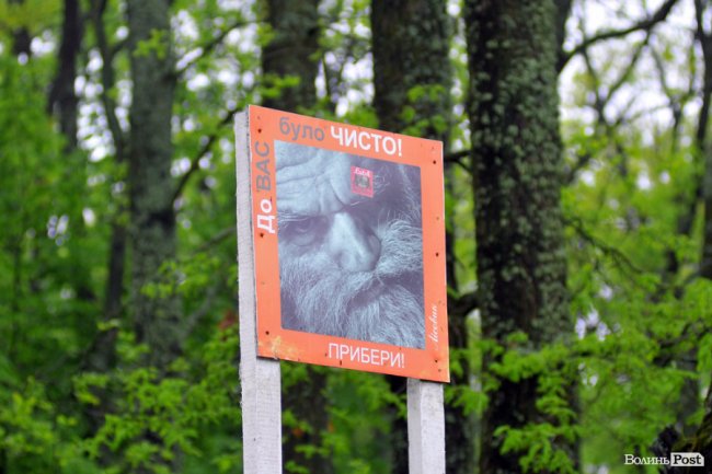 Екологічні стежки у волинському лісі – безліч відкриттів не лише для дітей